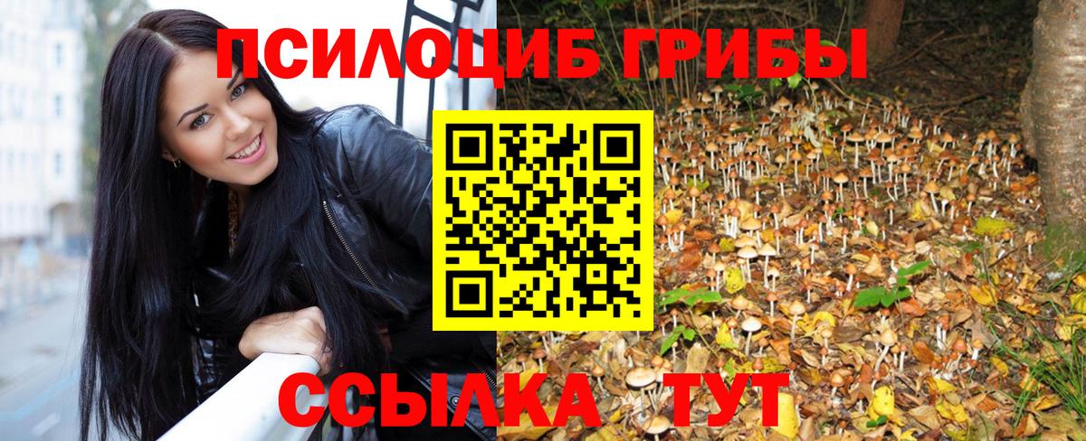 Псилоцибиновые грибы Cubensis Стрежевой